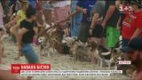 Сотні собак "біґль" взяли участь у щорічній різдвяній вечірці в Австралії