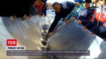 Новости Украины: в Киеве в Днепр выпустили 40 тысяч рыб