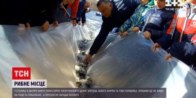 Новости Украины: в Киеве в Днепр выпустили 40 тысяч рыб