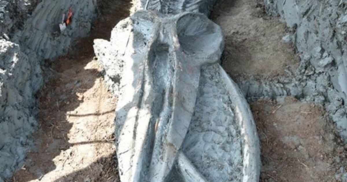 Скелет кита віком до п'яти тисяч років_2 / © BBC
