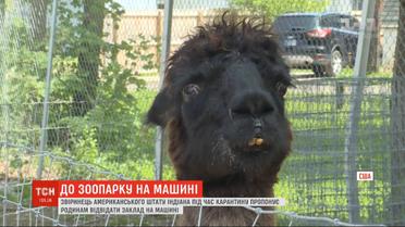 Зверинец штата Индиана придумал как пускать посетителей не нарушая карантин
