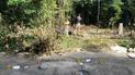 Тело нашли в лесополосе: на Буковине убили и ограбили мужчину, который приехал с Волыни купить авто