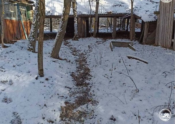 Тропа, ведущая к усадьбе / © Чорнобильський радіаційно-екологічний біосферний заповідник