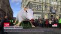 Старий Новий рік святкуватимуть без масштабних гулянь через локдаун