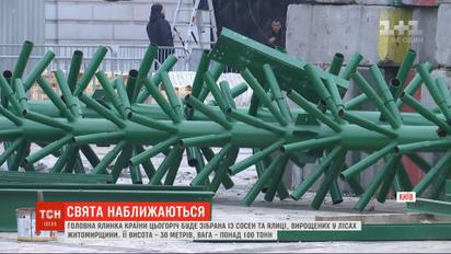 30 метрів і 100 тонн: якою буде цьогоріч головна ялинка країни
