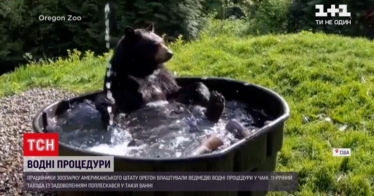 Новини світу: в американському зоопарку ведмедю влаштували SPA-день