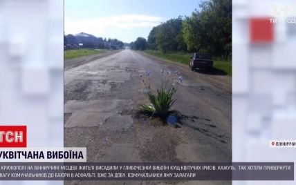 Цветы посреди дороги: жители Крижополя высадили в глубокой выбоине куст ирисов