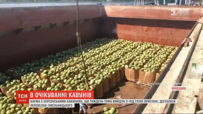 Баржа с херсонскими арбузами добралась в Киевскую область