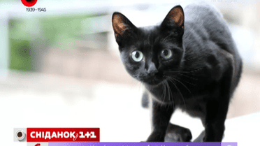 Найбільше українці бояться розсипати сіль та передавати речі через поріг