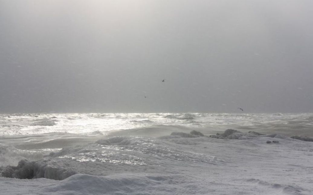 Азовское море покрылось льдом / © http://www.061.ua/
