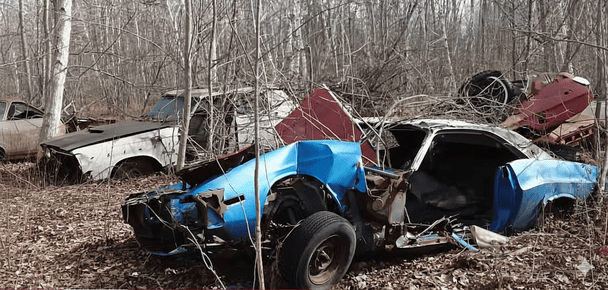  / © скриншот з відео