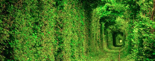  / © www.flickr.com/Miloš Pjatko