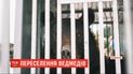 Спасение косолапых: медведи из частного зверинца пересекли Украину по дороге к новому дому