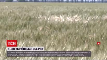 Россия и Украина сели за стол переговоров