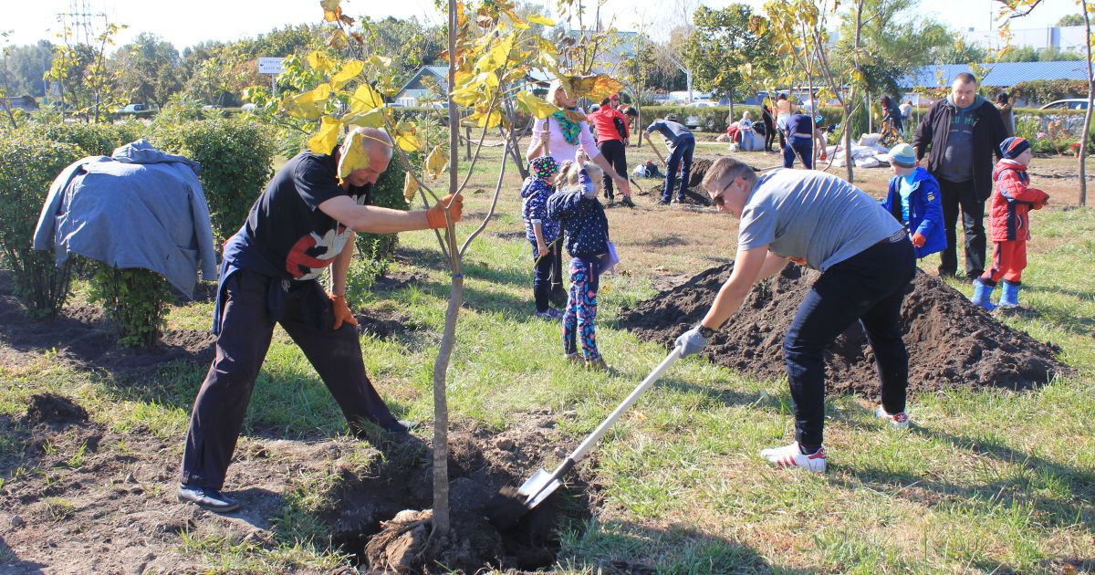"Купил машину? Посади дерево!": Тойота-Украина инициировала озеленение Киева