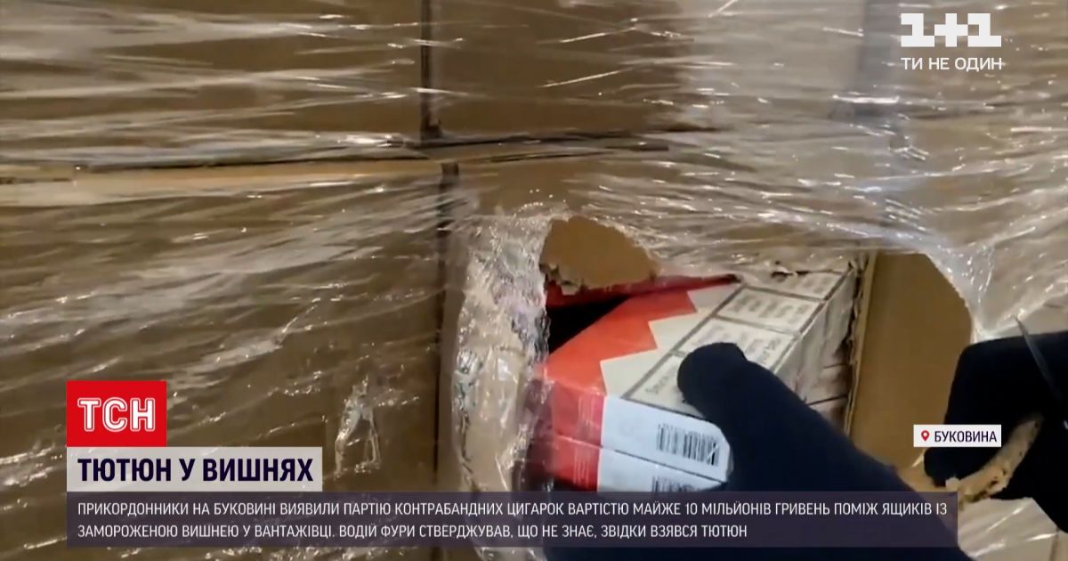 Новости Украины: на Буковине мужчина спрятал партию контрабандных сигарет в замороженных ягодах