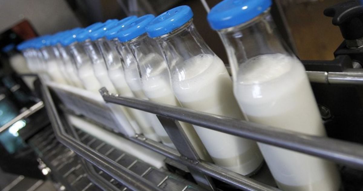 Канада вкладывает деньги в молочную промышленность Украины
