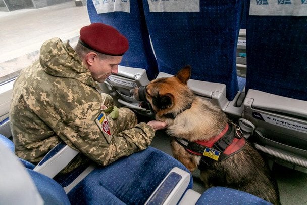 Перевезення собак у поїздах / © Міністерство розвитку громад та територій України