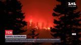 Найбільша за всю історію пожежа: у Каліфорнії горить понад 800 гектарів лісу