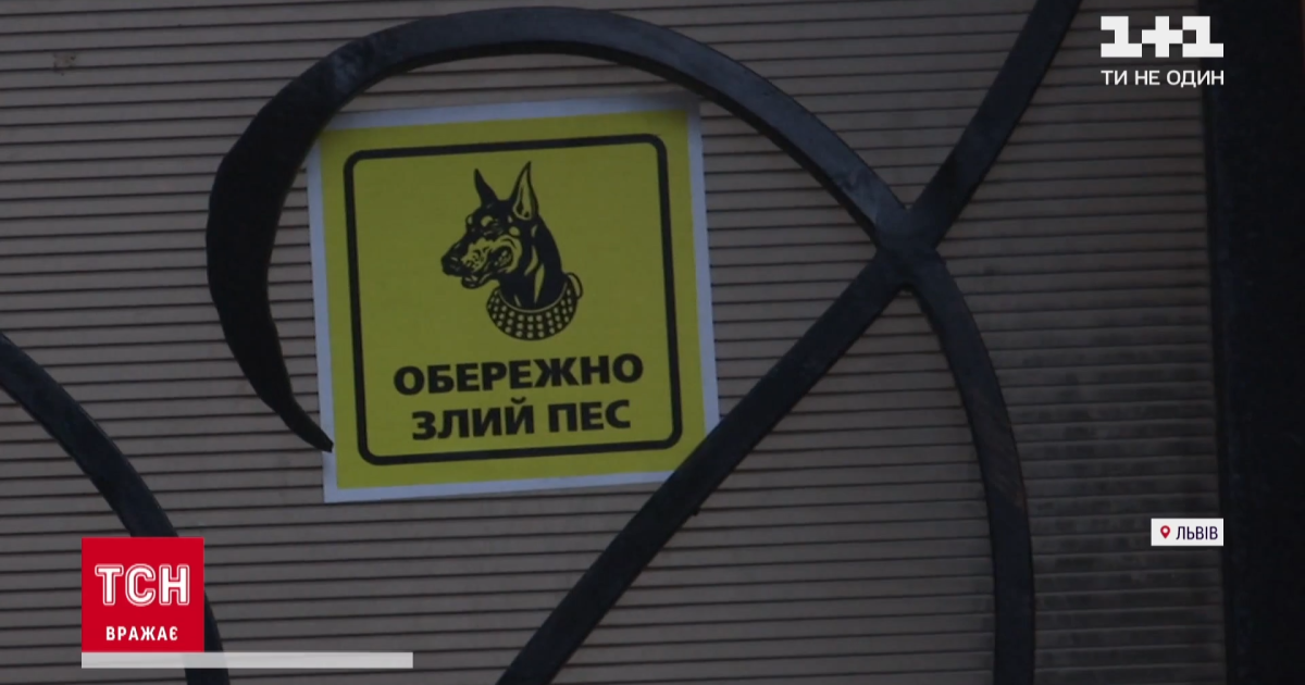 Львовянин, на которого напала овчарка, требует наказания для владельца пса
