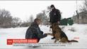 Полицейский пес одновременно раскрыл три кражи по горячим следам