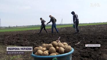 Громади Дніпропетровщини долучаються до ініціативи "Сади Перемоги"