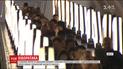 На столичный метрополитен и Одесской аэропорт напали кибертеррористы