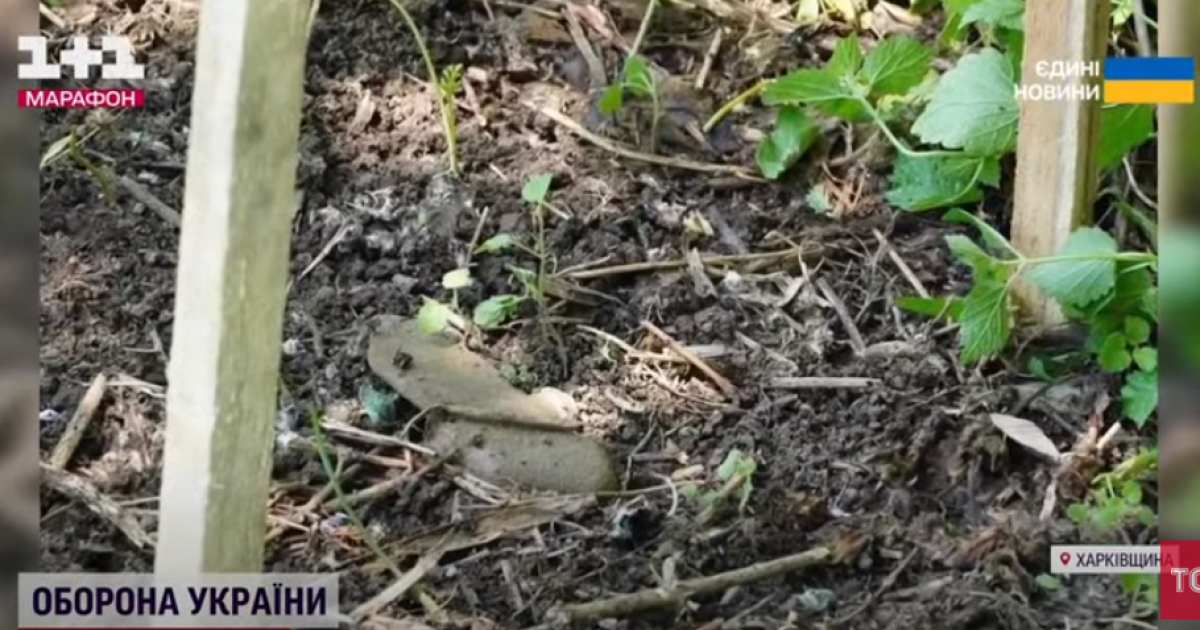 Міна-пелюстка