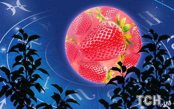 Клубничное полнолуние 11 июня 2025: особенности периода и что стоит сделать