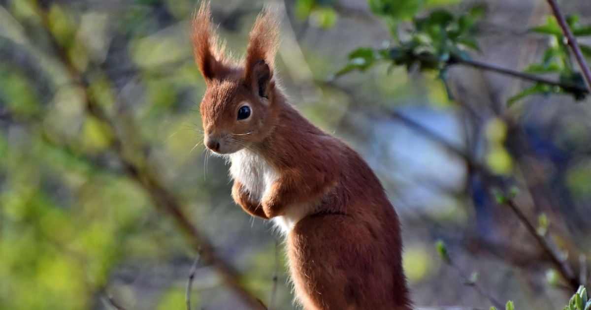 До України повертаються сніг та похолодання