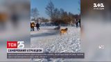 В Днепропетровской области подростки устроили аттракцион из веревки, палки и льда | Новости Украины