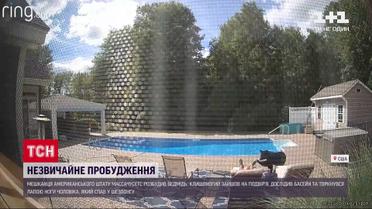 В США медведь разбудил мужчину, который дремал в шезлонге