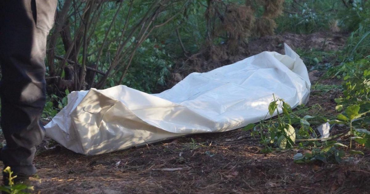 Фото: Андрей Небитов