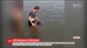 В Николаеве в реку Ингул с моря заплыл дельфин