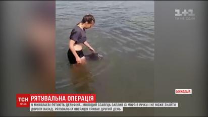 У Миколаєві у річку Інгул з моря заплив дельфін