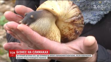 Ветеран АТО збудував успішний бізнес на равликах