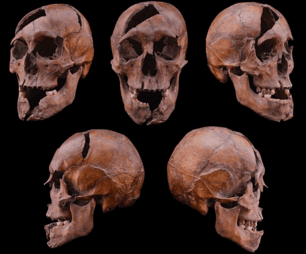 Жахлива розправа над герцогом: останки середньовічного правителя розповіли про деталі його вбивства