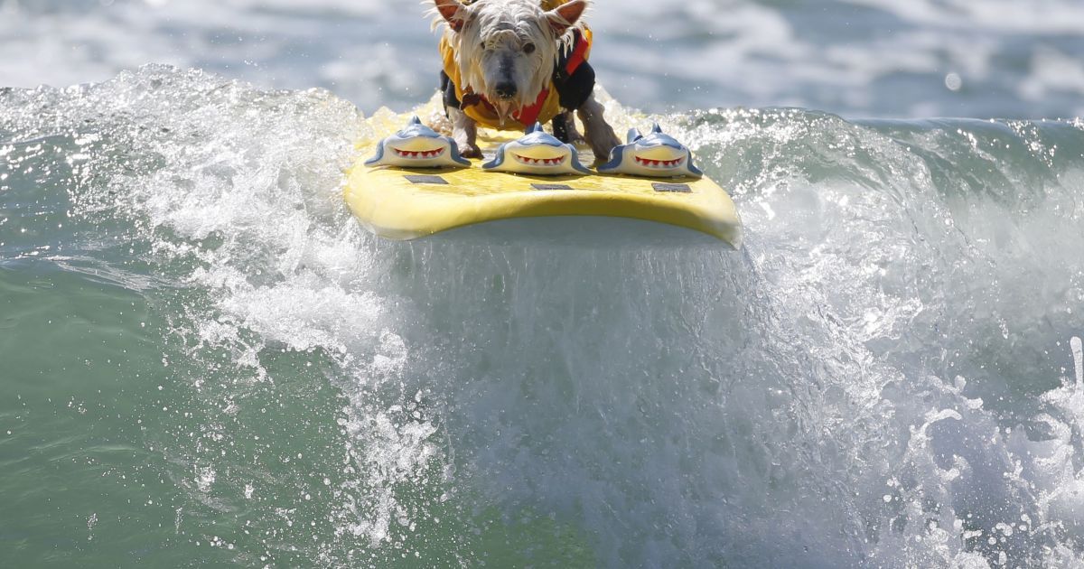 В Калифорнии прошел шестой ежегодный Surf City