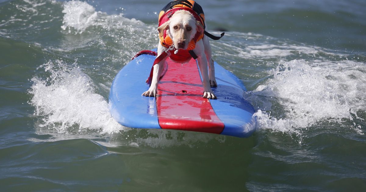 У Каліфорнії пройшов шостий щорічний Surf City / © Reuters