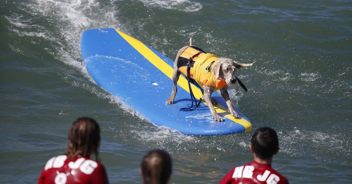 У Каліфорнії пройшов шостий щорічний Surf City / © Reuters