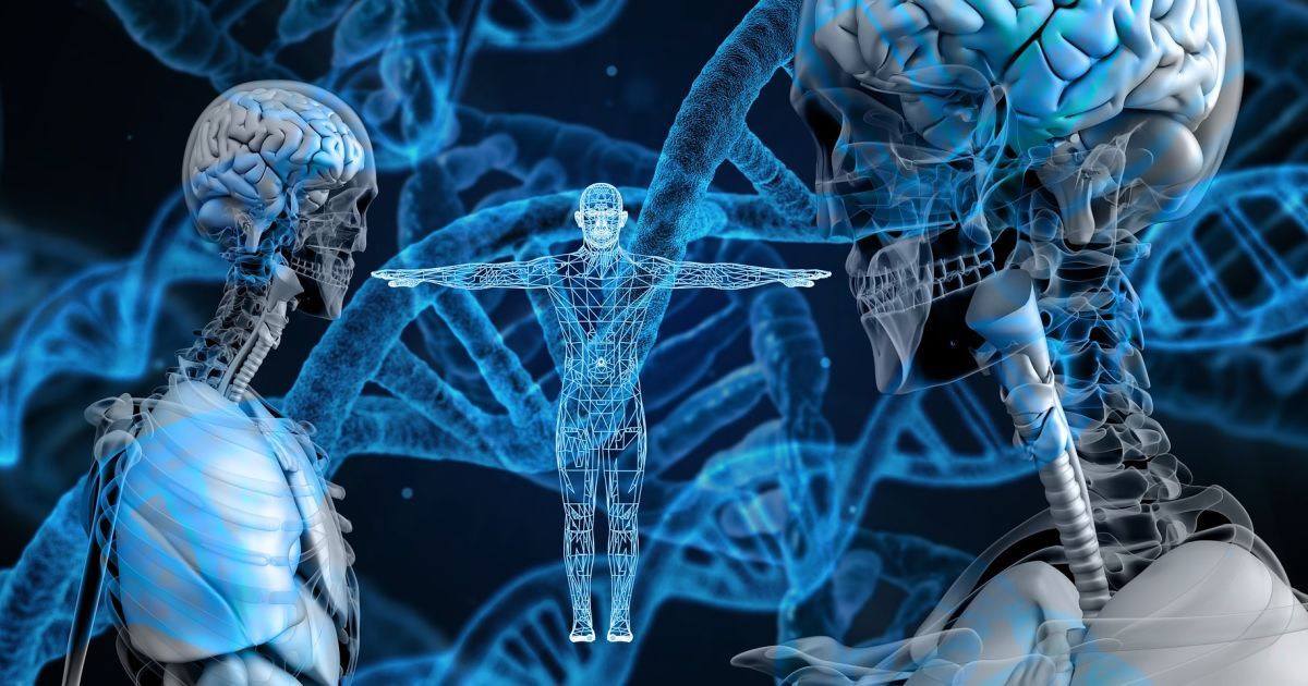 Как рассчитать свой код жизни?