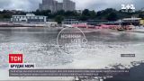 Новини України: у Херсоні негода повалила дерева, а в Одесі після зливи у морі з`явилася піна