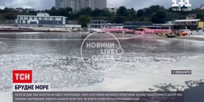 Новости Украины: в Херсоне непогода повалила деревья, а в Одессе после ливня в море появилась пена