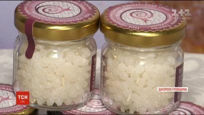 На Дніпропетровщині виготовляють один з найдорожчих делікатесів - равликовий кав'яр