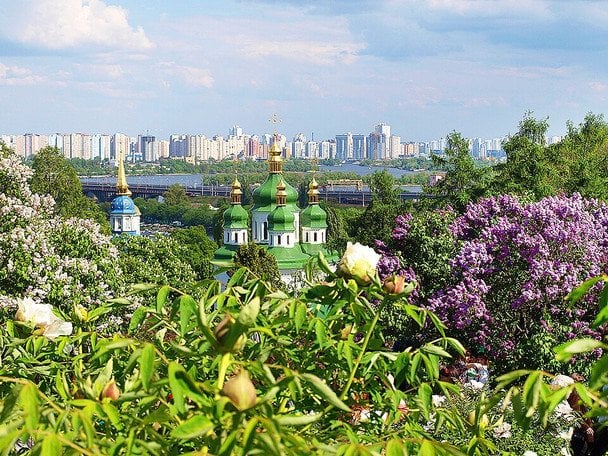 Національний ботанічний сад імені М. М. Гришка / © Вікіпедія