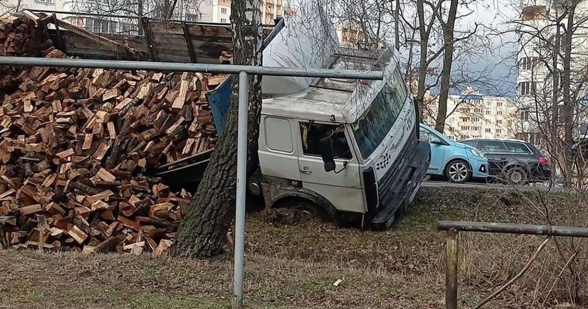 Под Киевом водитель пустил грузовик с дровами под откос после задержания копами: фото