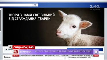 Як українці ставляться до вегетаріанства 