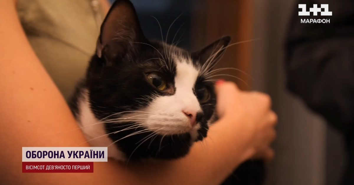 Гюнтер ІІ