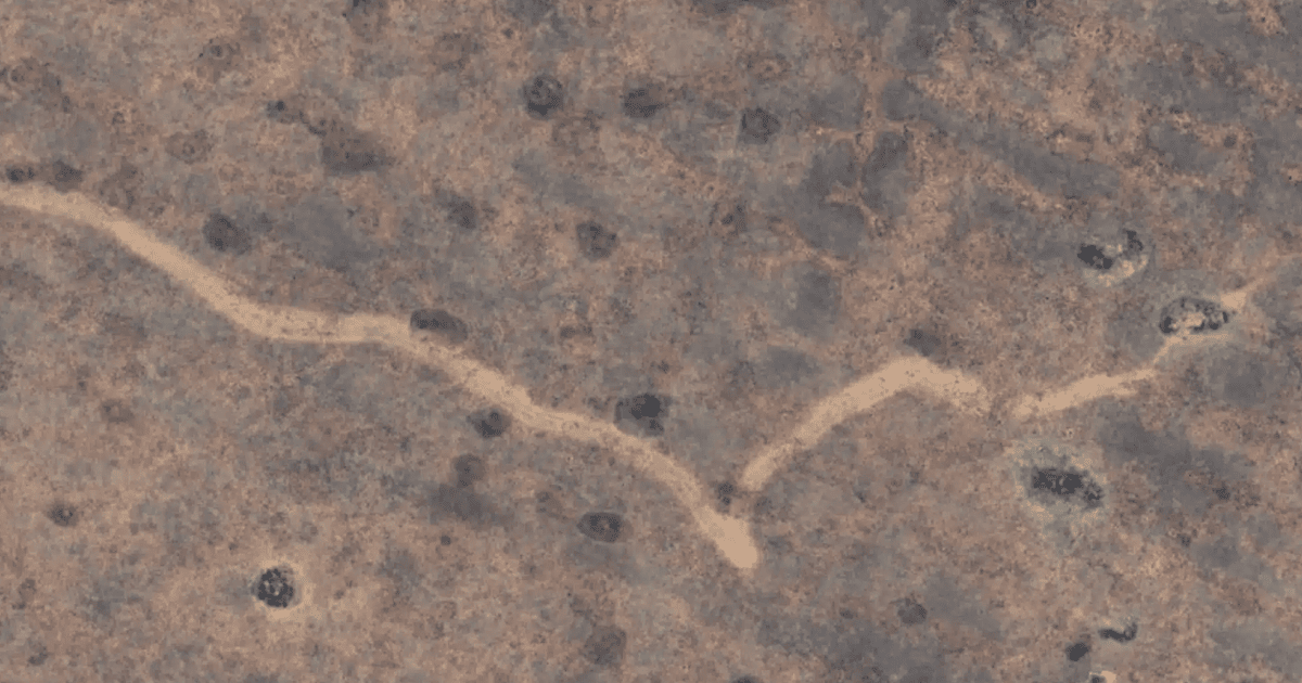 Величезний дивний "шрам", виявлений на супутникових знімках на рівнині Налларбор в Австралії