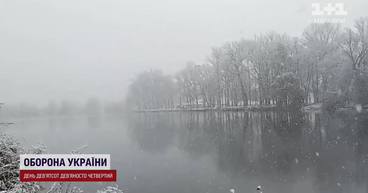 Снег в Винницкой области/Скриншот с видео